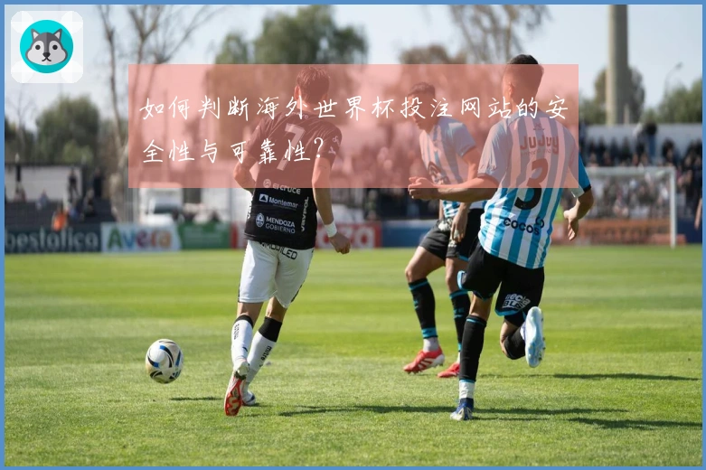 如何判断海外世界杯投注网站的安全性与可靠性？