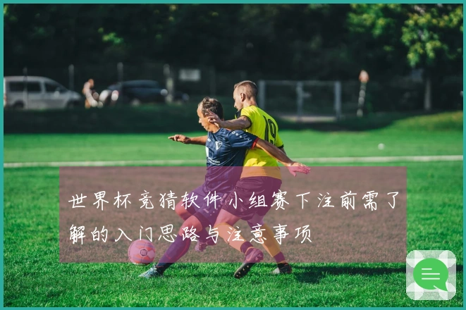 世界杯竞猜软件小组赛下注前需了解的入门思路与注意事项