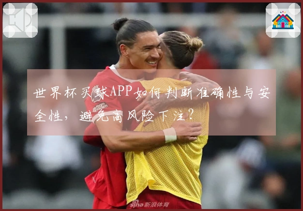 世界杯买球APP如何判断准确性与安全性，避免高风险下注？